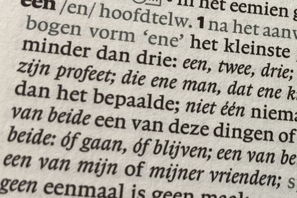 een in Van Dale